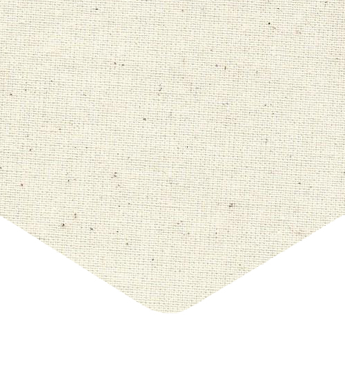 Calico Canvas Natural